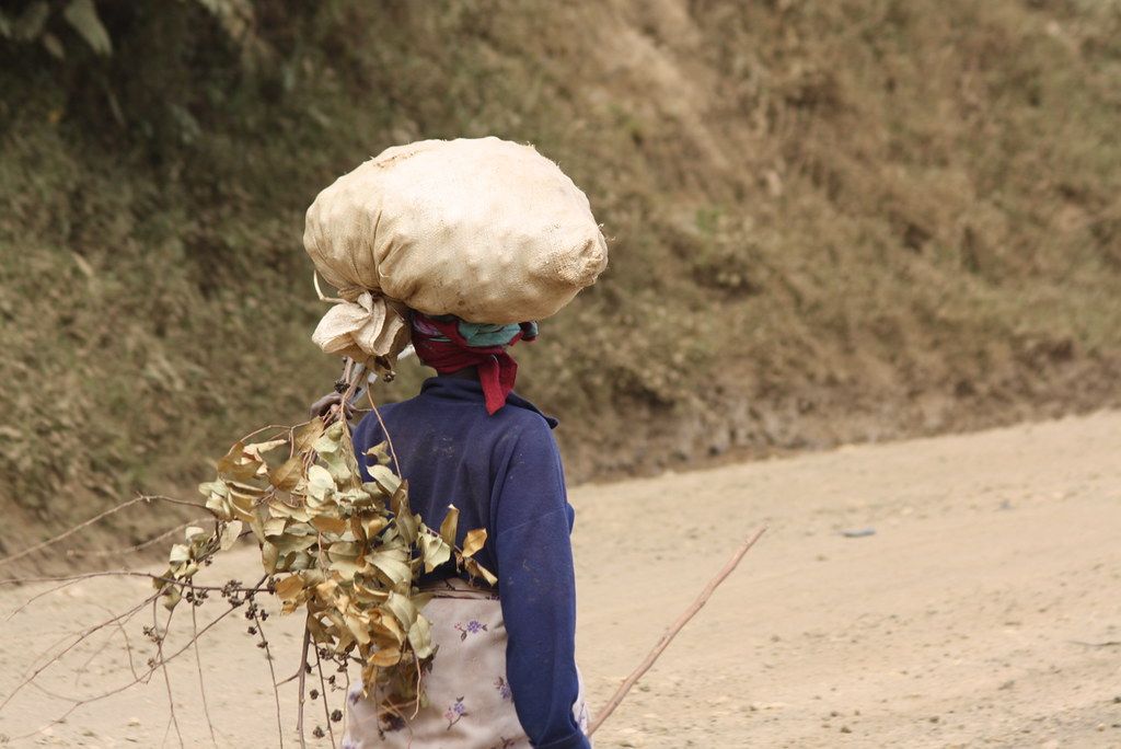 Cultural Experiences